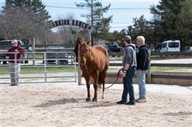 LR-WRF 0402026 Retreat-3266